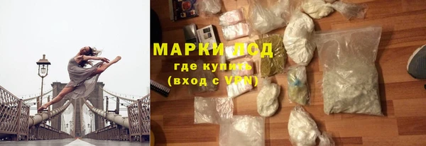 прущие грибы Богданович
