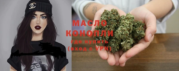 прущие грибы Богданович