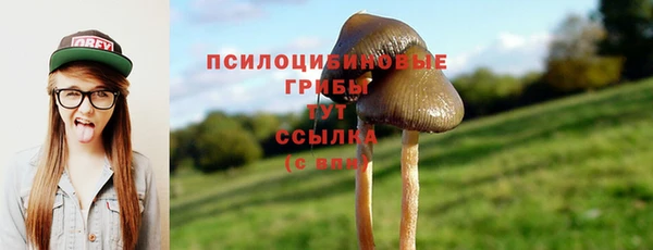 метадон Богородицк