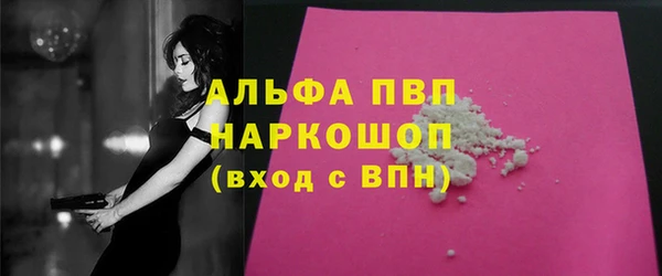 прущие грибы Богданович