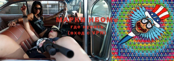прущие грибы Богданович