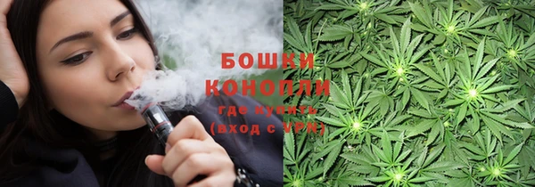 прущие грибы Богданович